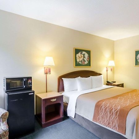 Comfort Inn & Suites Grundy Exteriér fotografie